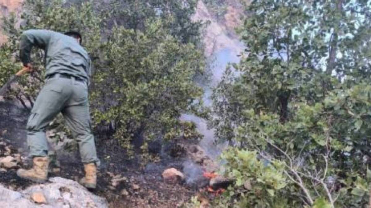 باشگاه خبرنگاران -۸۱۵ هکتار آتش سوزی در مناطق حفاظت شده استان کردستان در سال ۱۴۰۴/ تأکید مدیرکل بر ضرورت تقویت تجهیزات و مدیریت یکپارچه حریق