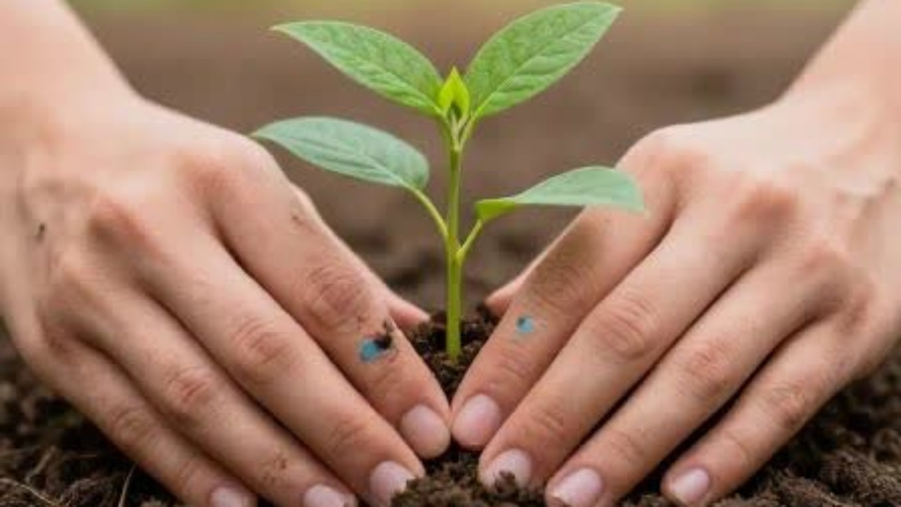 غرس ۵۰۰ اصله نهال یادبود شهدای جنگ رمضان