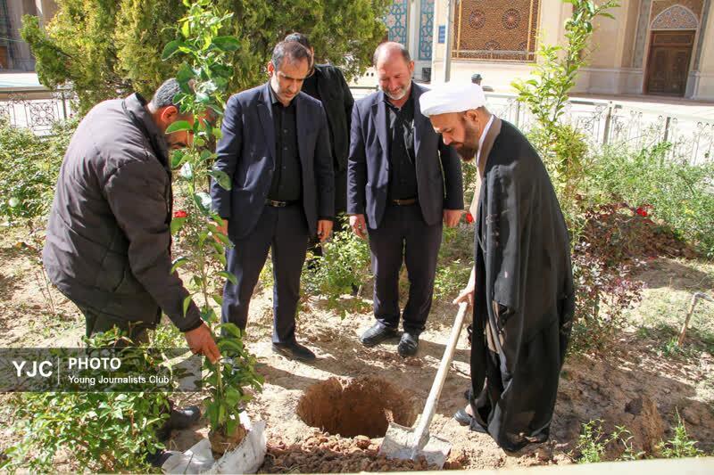 + تصاویر