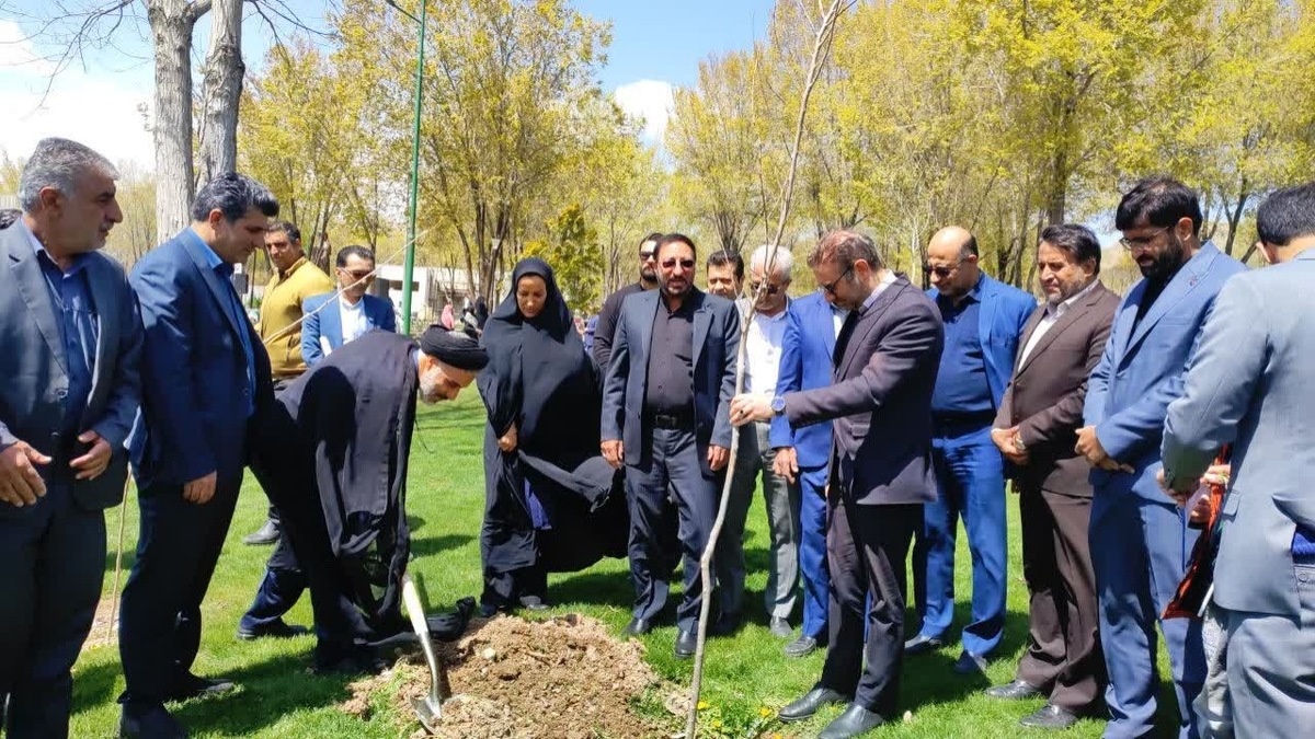 باشگاه خبرنگاران -غرس ۷۵ اصله نهال بزرگداشت شهدای میناب + تصاویر