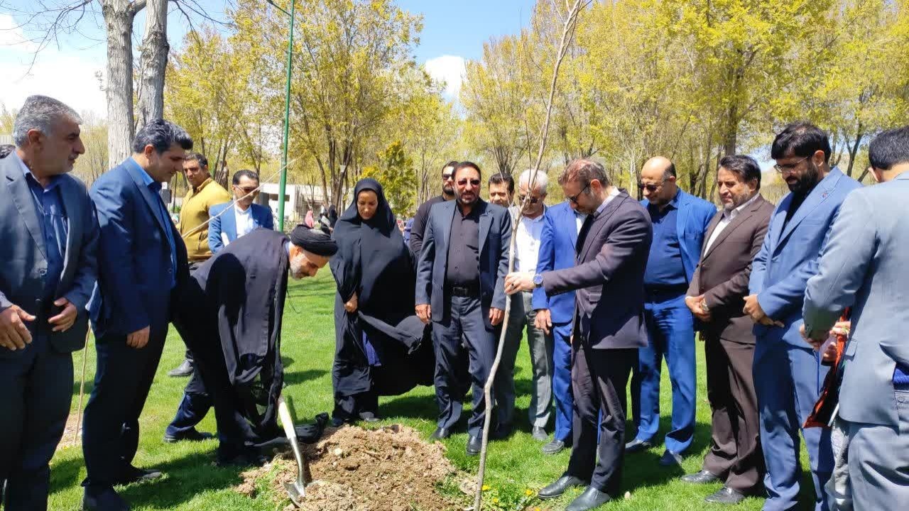 غرس ۷۵ اصله نهال بزرگداشت شهدای میناب + تصاویر