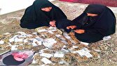 باشگاه خبرنگاران -دل‌نوشته‌های بانوان ارسکی، رزمندگان را غرق در مهر ساخت