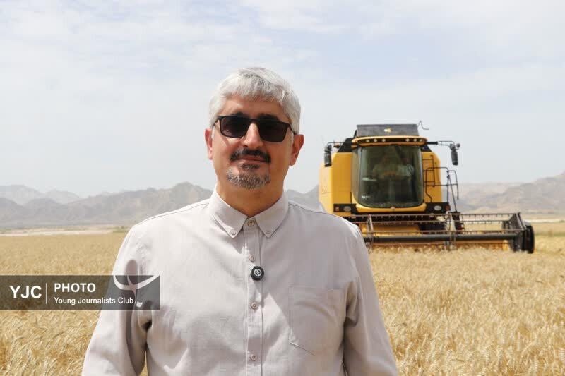 آغاز برداشت گندم از سطح ۴۴۸ هزار هکتار از مزارع فارس