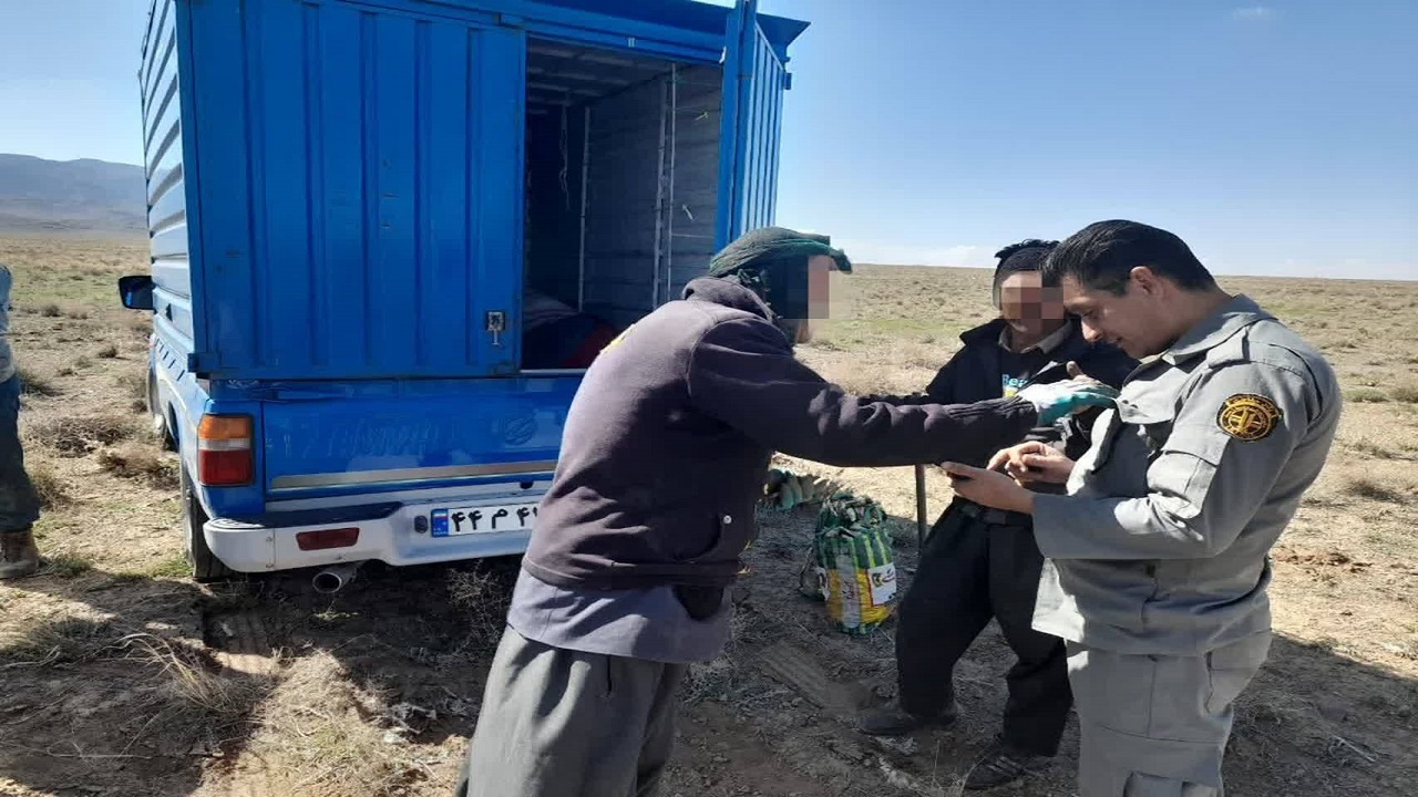 برخورد قانونی با بوته‌کنی در مناطق حفاظت شده قم