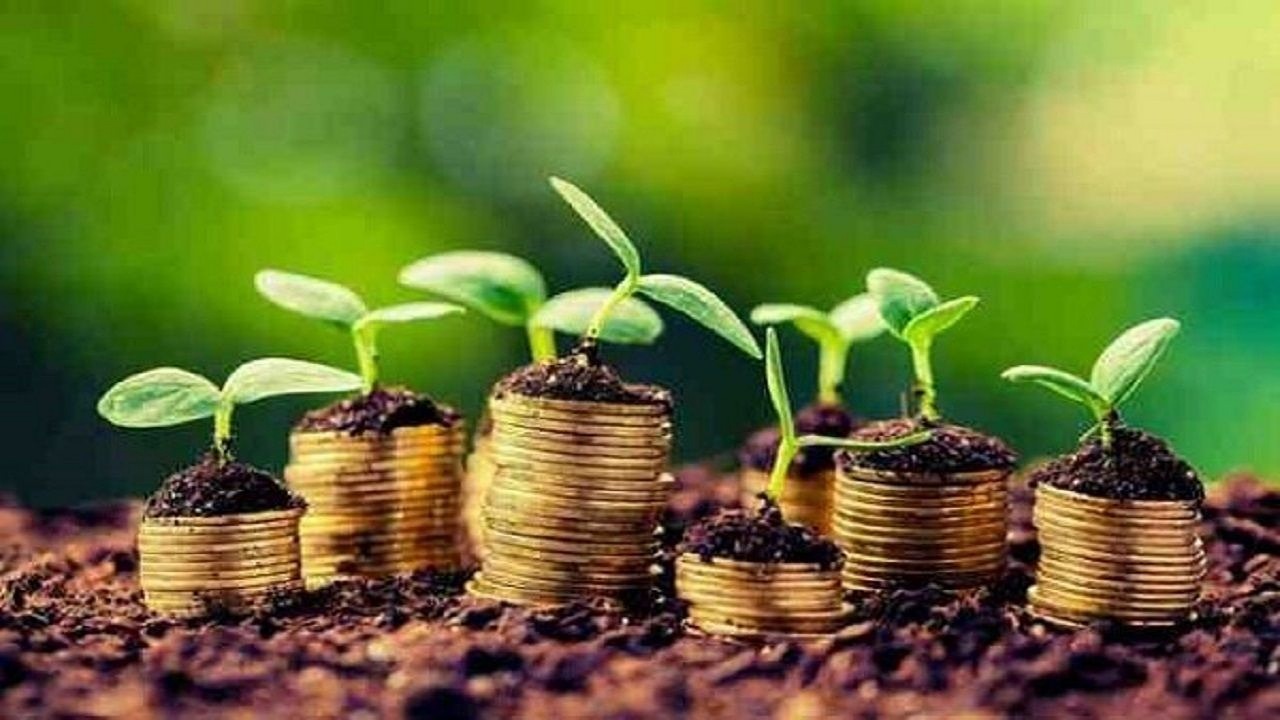 پرداخت بیش از ۱۴۰۰ میلیارد ریال تسهیلات به بخش کشاورزی سیستان و بلوچستان