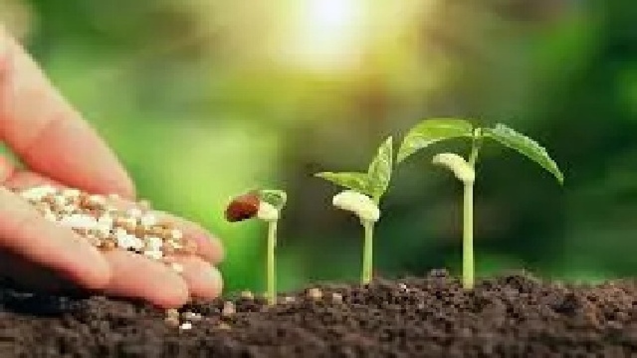 جهش در خودکفایی و تولید بذر در لرستان؛ ۱۷۵۰۰ تن بذر تولید می‌شود