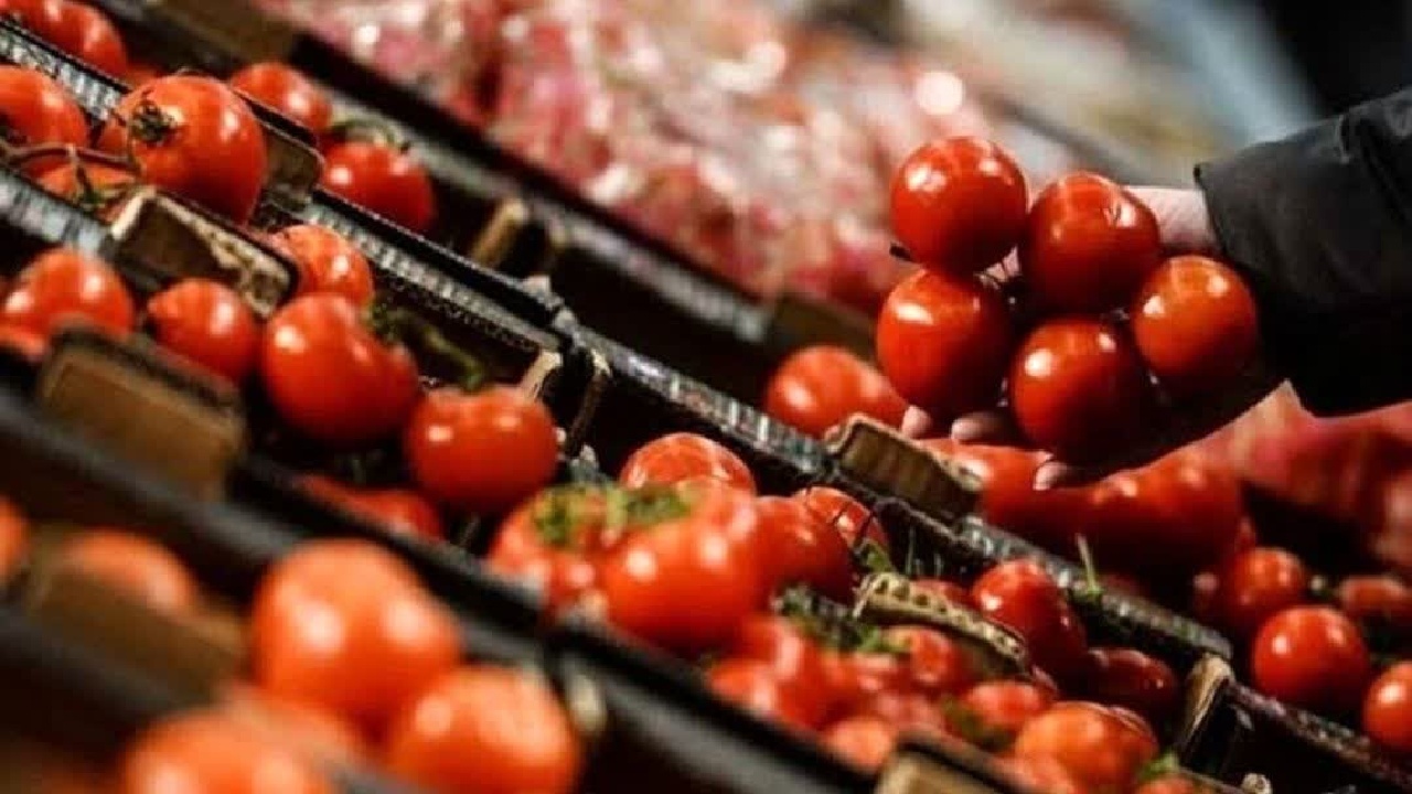 صادرات گوجه‌فرنگی از لرستان در مسیر جهانی شدن