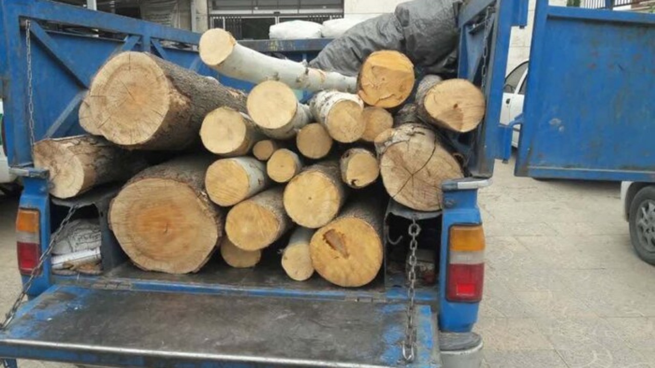 کشف بیش از ۴۰ هزار کیلوگرم چوب قاچاق در چهارمحال و بختیاری