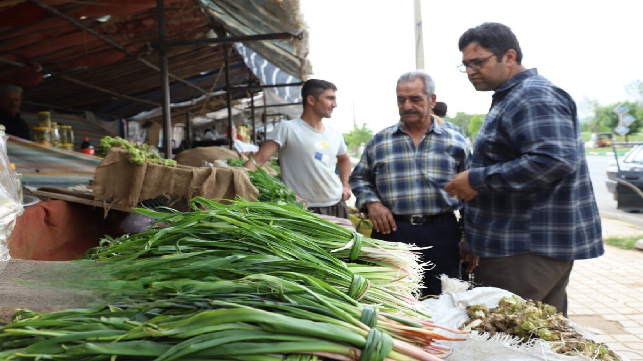 گیاهان خوراکی و دارویی رشته کوه‌های زاگرس؛ عیدانه طبیعت بر سر سفره‌های مردم لرستان