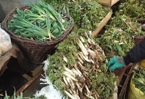 گیاهان خوراکی و دارویی رشته کوه&zwnj;های زاگرس؛ عیدانه طبیعت بر سر سفره&zwnj;های مردم لرستان
