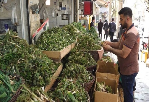 گیاهان خوراکی و دارویی رشته کوه&zwnj;های زاگرس؛ عیدانه طبیعت بر سر سفره&zwnj;های مردم لرستان