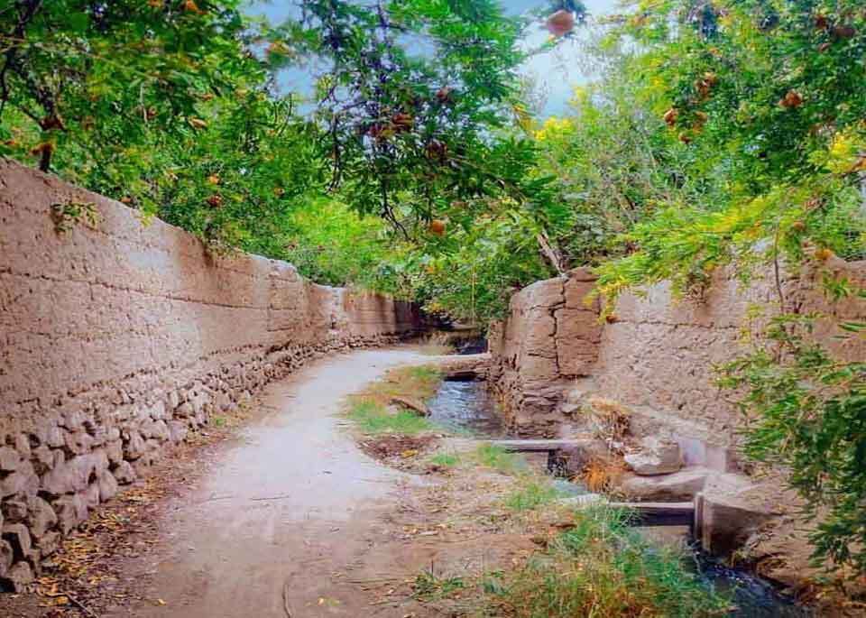 طبیعت بکر از بهارِ روستا‌های شهرستان تفت +تصویر