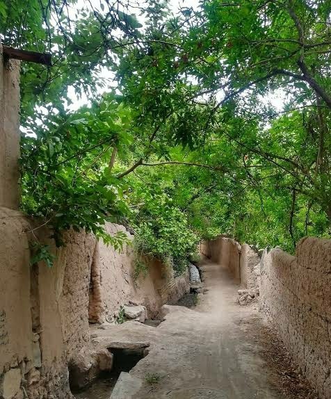 طبیعت بکر از بهارِ روستا&zwnj;های شهرستان تفت، روستای سعید آباد (شاه آباد) +تصویر