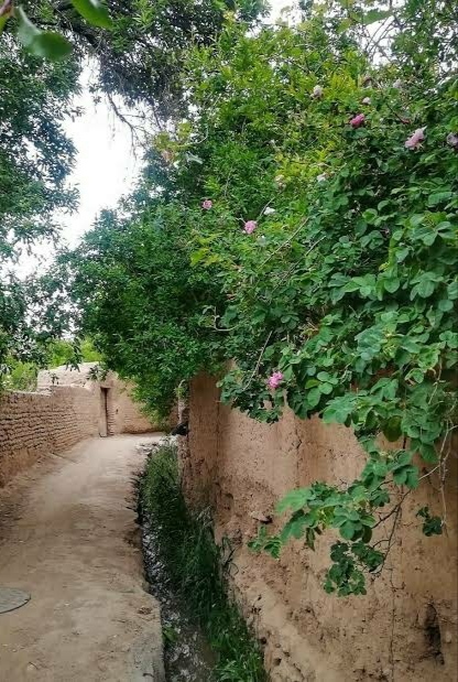 طبیعت بکر از بهارِ روستا&zwnj;های شهرستان تفت، روستای سعید آباد (شاه آباد) +تصویر