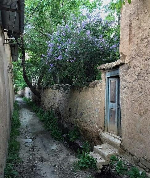طبیعت بکر از بهارِ روستا&zwnj;های شهرستان تفت، روستای سعید آباد (شاه آباد) +تصویر