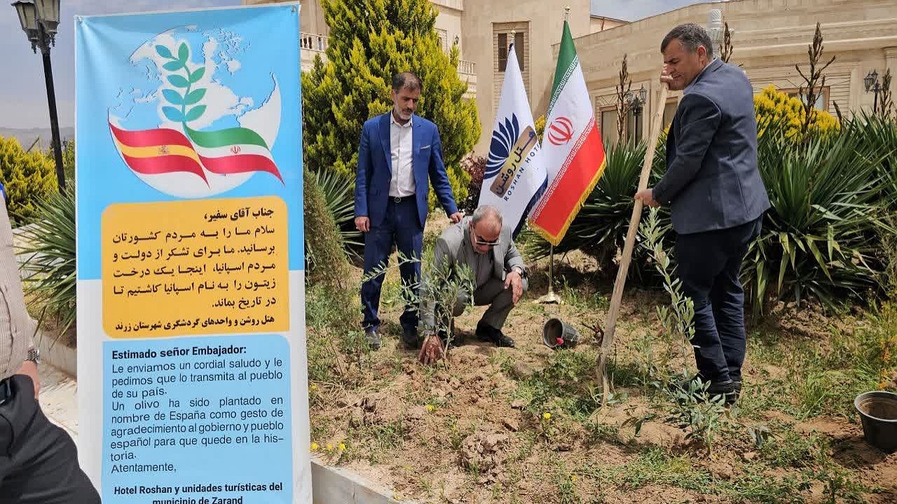 اقامت رایگان برای گردشگران اسپانیایی / کاشت درختی با نام اسپانیا درهتل زرند