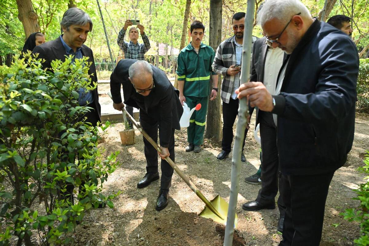 باشگاه خبرنگاران -بوستان قیطریه میزبان نهال‌های تازه در روز تولد امام شهید بود