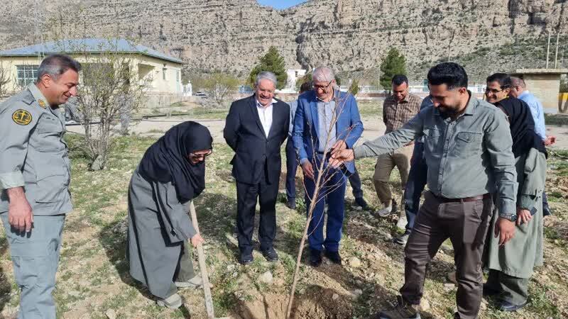 ارژن در مسیر احیا؛ ضرورت مدیریت منابع آب و صیانت از حریم تالاب