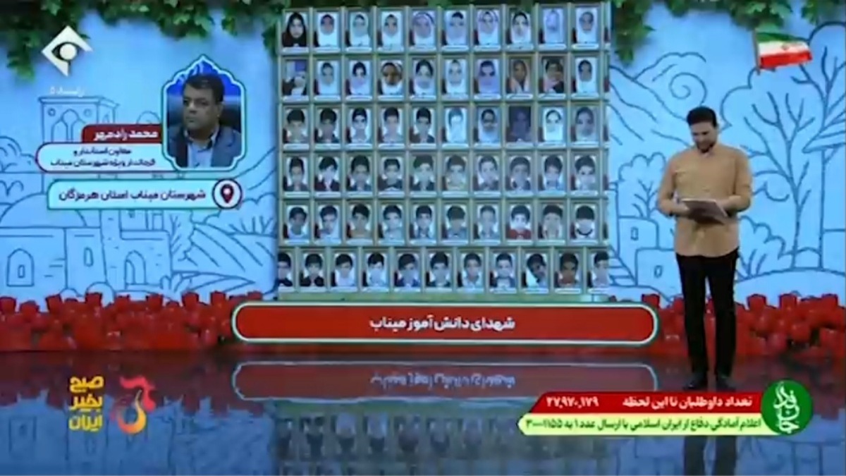 جشن متفاوت روز دختر در گلزار شهدای میناب + فیلم