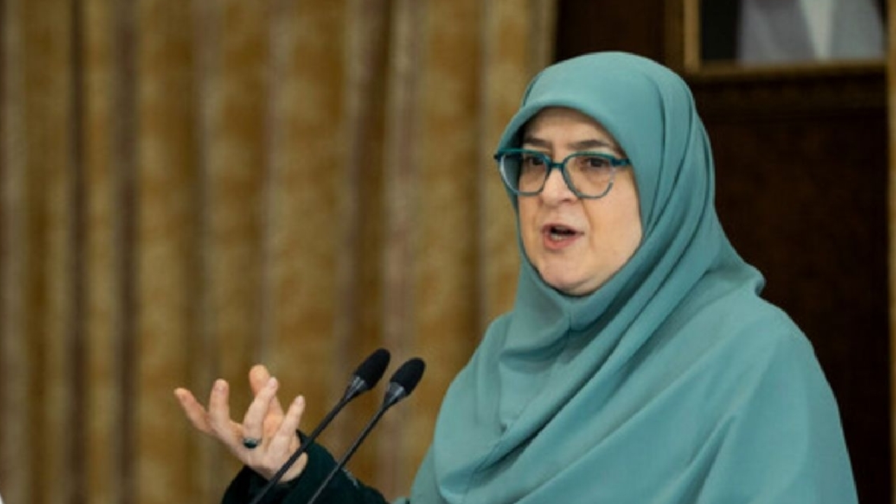 سخنگوی دولت: تنظیم بازار مرغ و تخم مرغ در دستور است/صنایع با اولویت‌بندی، بازسازی می‌شوند