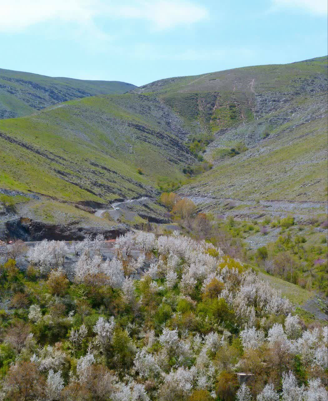 نمایی از طبیعت بهاری روستای ازغد از لنز دوربین شهروندخبرنگار