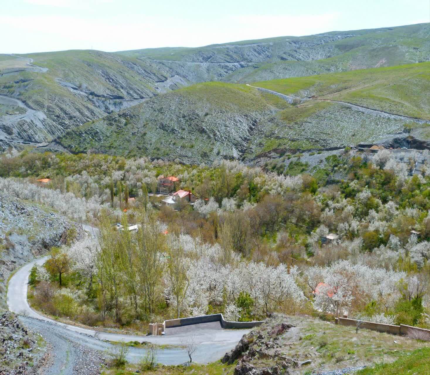 نمایی از طبیعت بهاری روستای ازغد