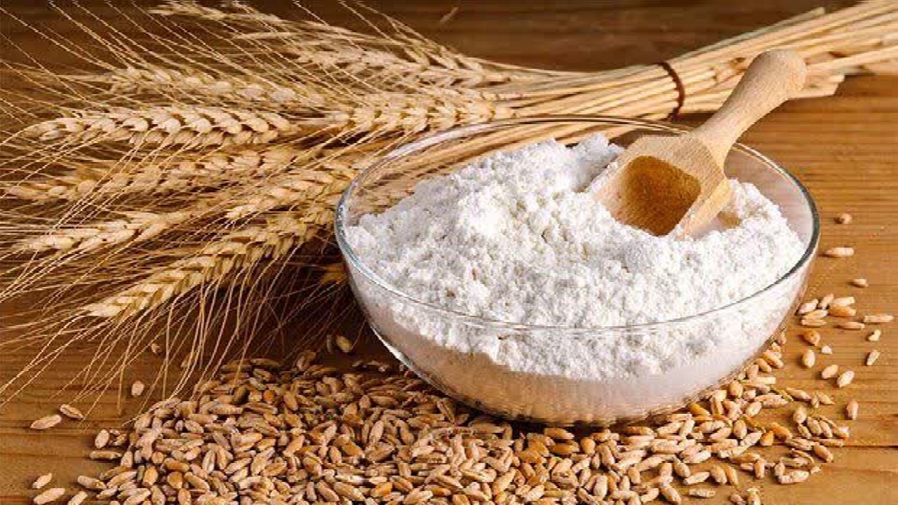 فعالیت ۸۷ هزار گندم‌کار در آذربایجان غربی / پایداری عرضه نان و تولید بیش از ۸۰۰ هزار تن گندم