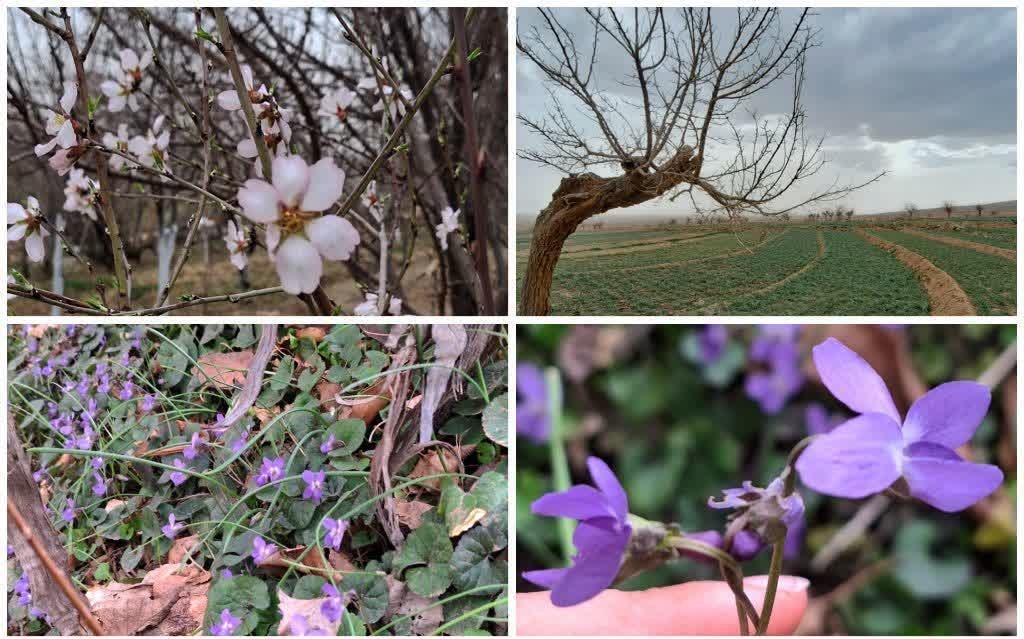 طبیعت بهاری روستاهای خراسان جنوبی+عکس