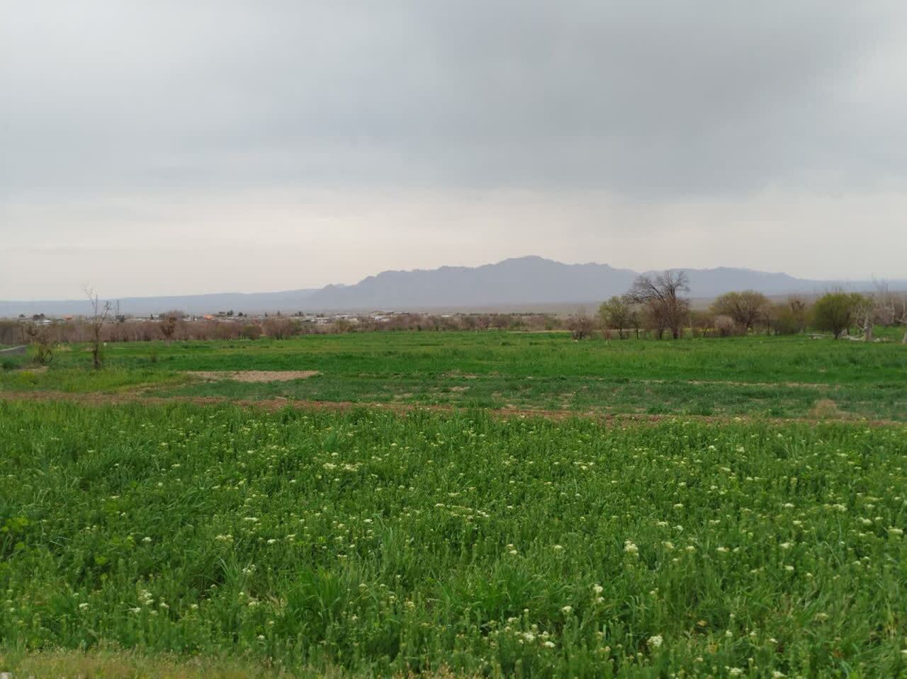 طبیعت بهاری روستاهای خراسان جنوبی+عکس
