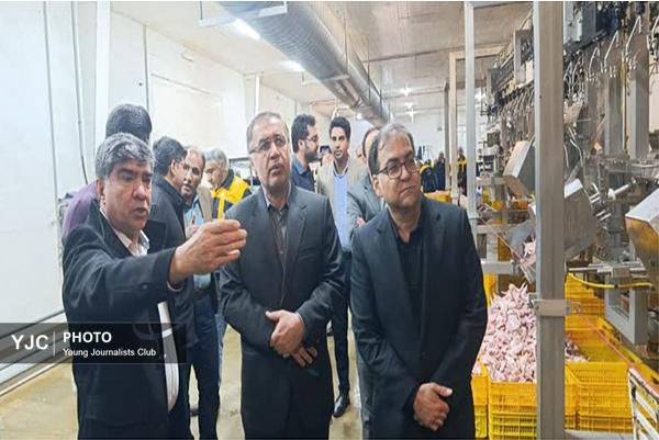 تداوم ثبات در بازار و تأمین اقلام اساسی در فارس