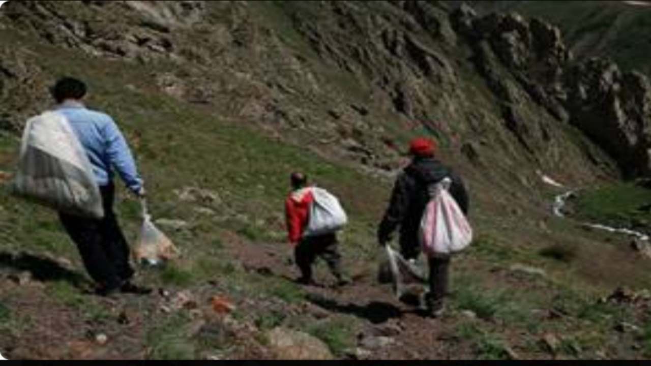 شهروندان  جهت جمع آوری گیاهان کوهستانی به مناطق مرزی وارد نشوند