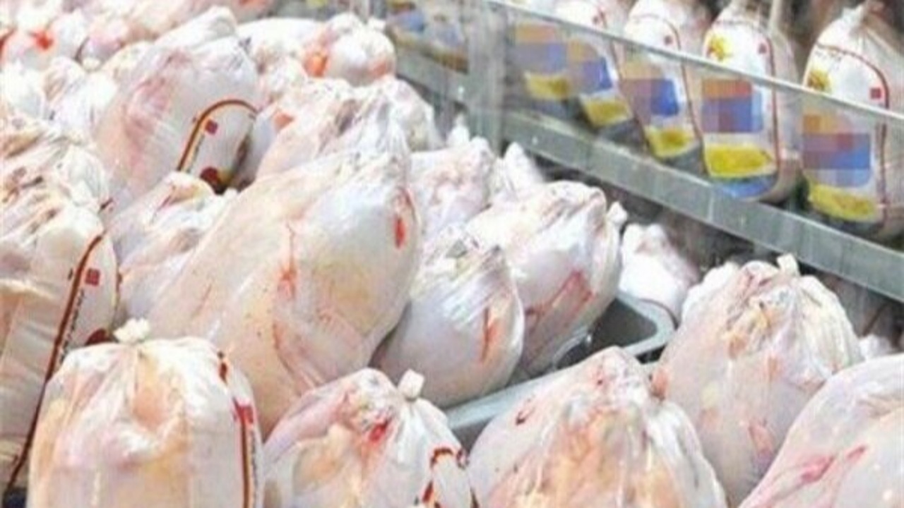 تولید بیش از ۹۰ تن گوشت مرغ در زابل