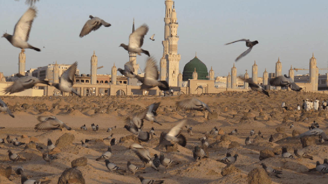 کینه کور وهابیت با مزارِ وارثانِ پیامبر چه کرد؟