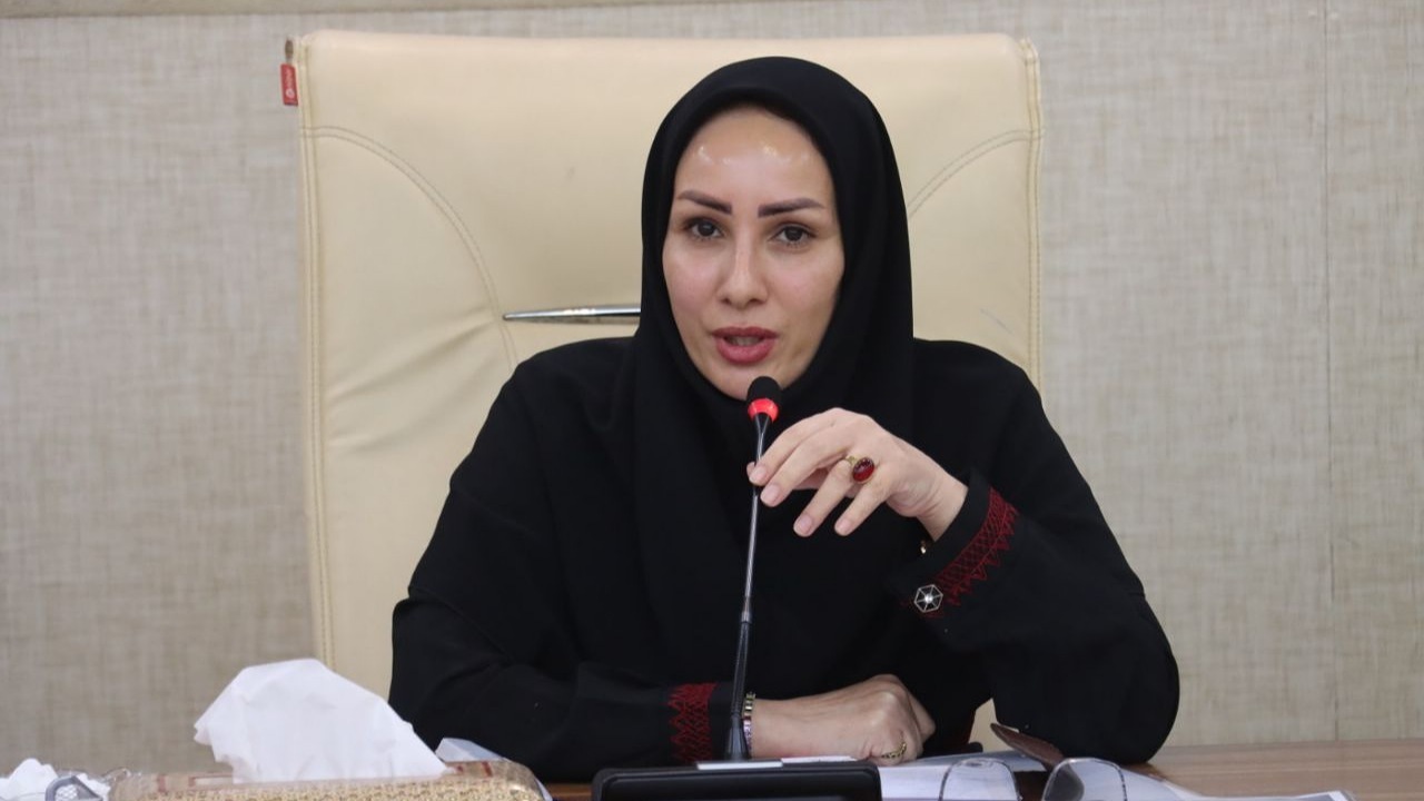 راهکار تنظیم پایدار بازار در برنامه‌ریزی بلندمدت است