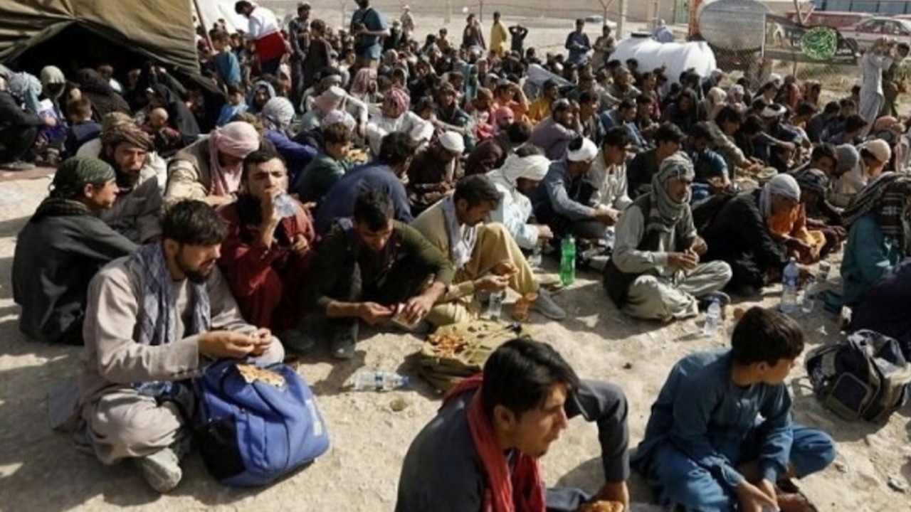 جمع آوری ۹۷ نفر اتباع بیگانه غیرمجاز در زابل