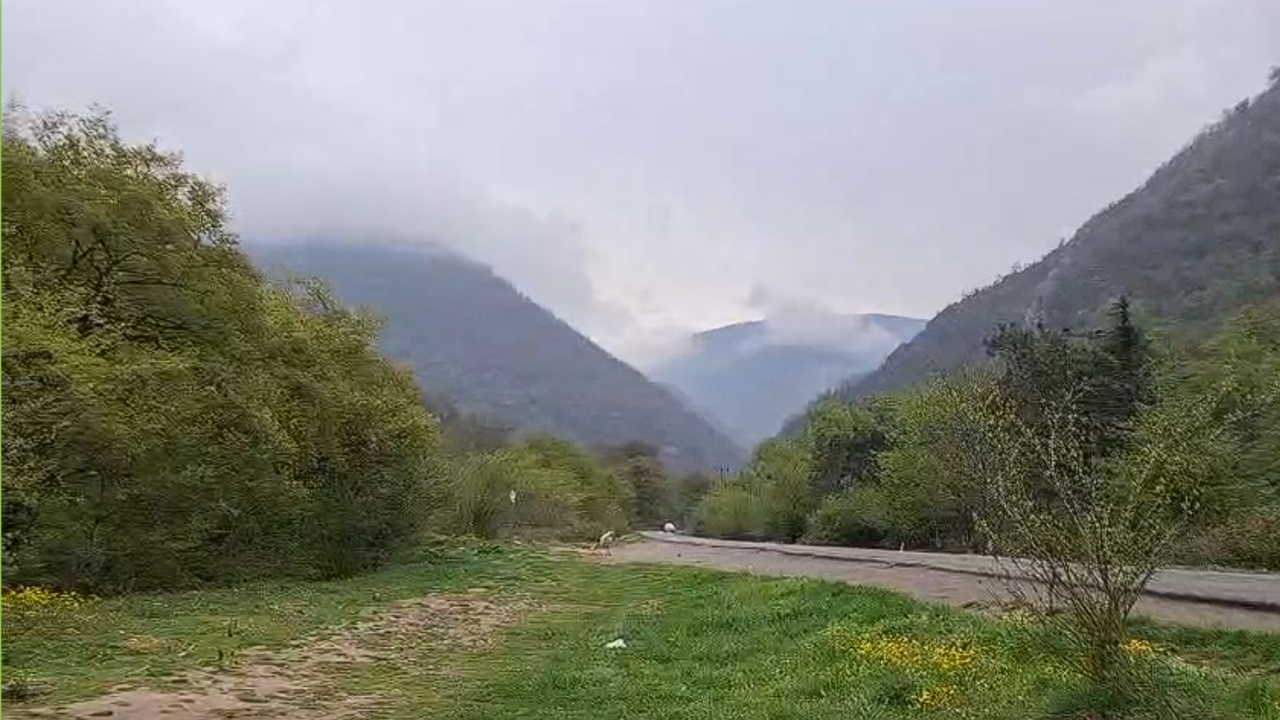 گشت و گذاری در جنگل توسکستان گرگان از لنز دوربین شهروندخبرنگار