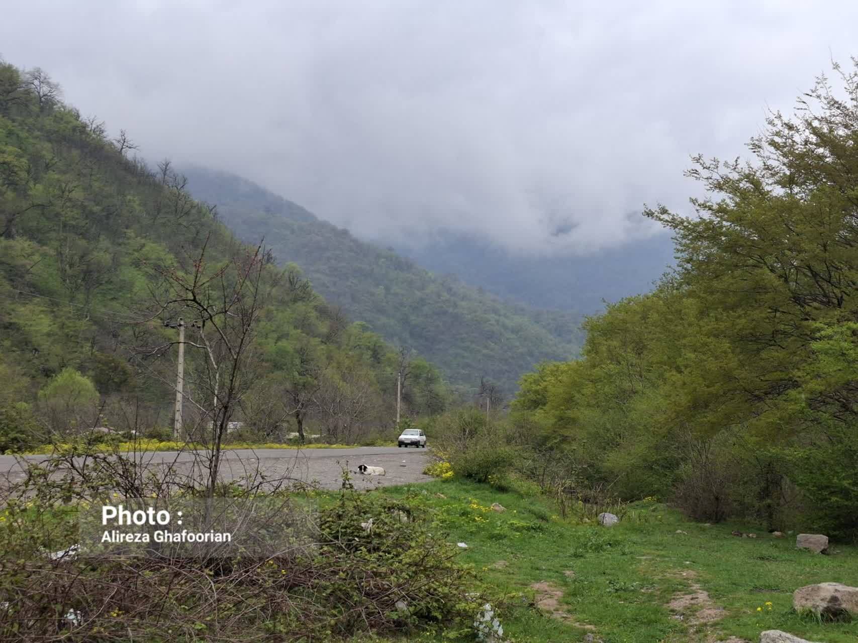 گشت و گذاری در جنگل توسکستان گرگان