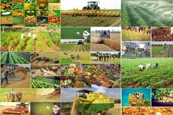 کالاهای اساسی به میزان مکفی تامین و در انبارها توزیع شده است