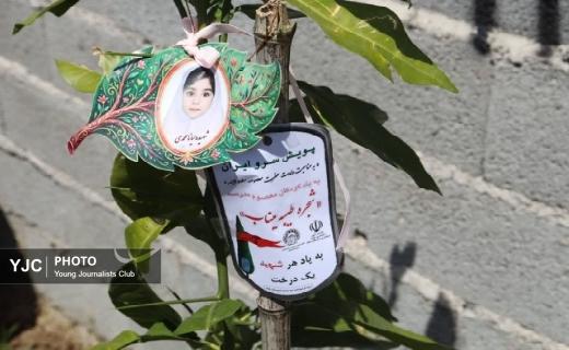 کاشت ۱۵۰ اصله نهال به مناسبت دهه کرامت در خمام کاشت ۱۵۰ اصله نهال به مناسبت دهه کرامت در خمام