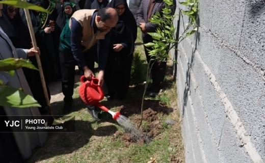 کاشت ۱۵۰ اصله نهال به مناسبت دهه کرامت در خمام کاشت ۱۵۰ اصله نهال به مناسبت دهه کرامت در خمام