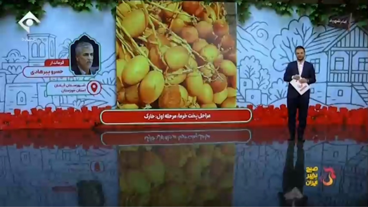 نگاهی به ظرفیت‌های گردشگری شهرستان آبادان + فیلم