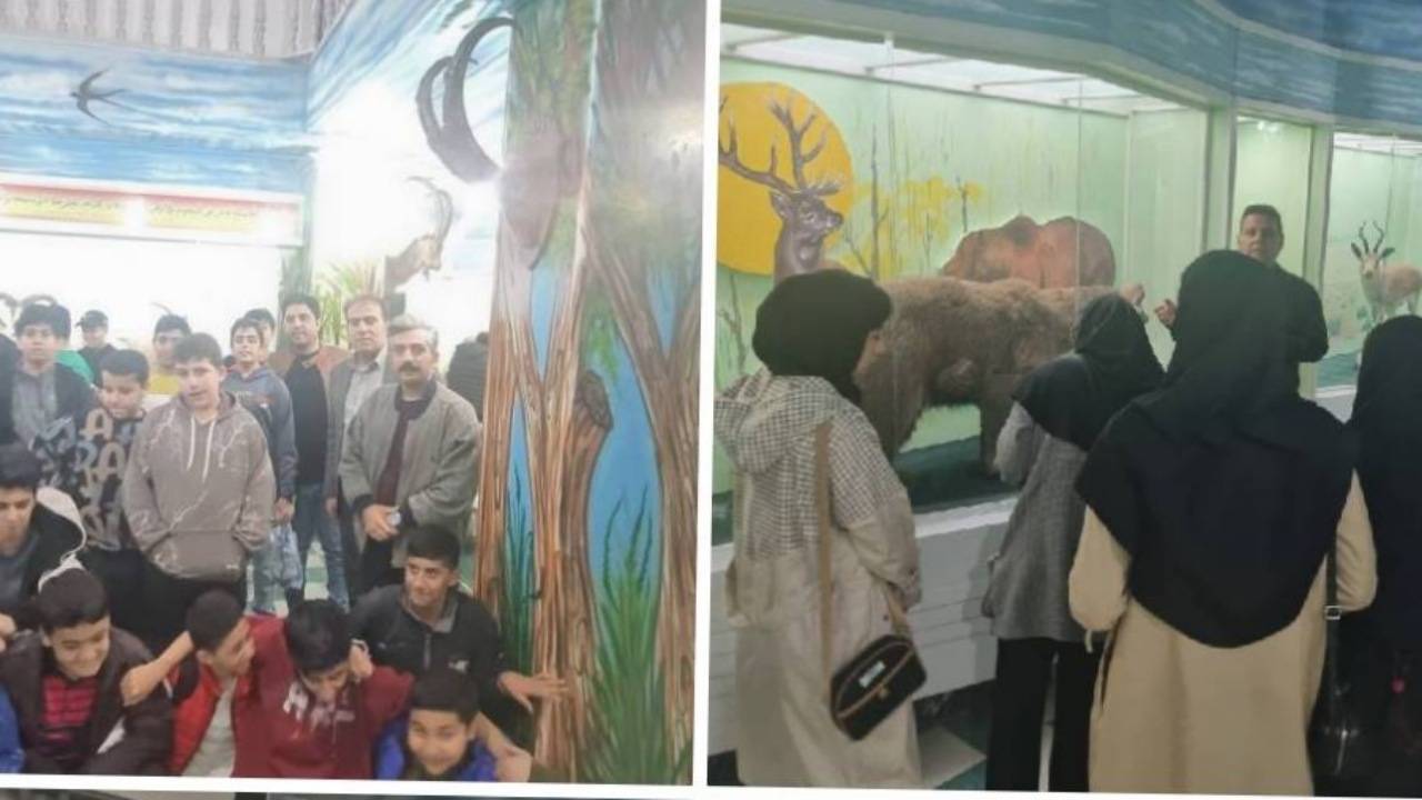 موزه تنوع زیستی کردستان/ فضایی برای نمایش و ٱموزش تنوع زیستی