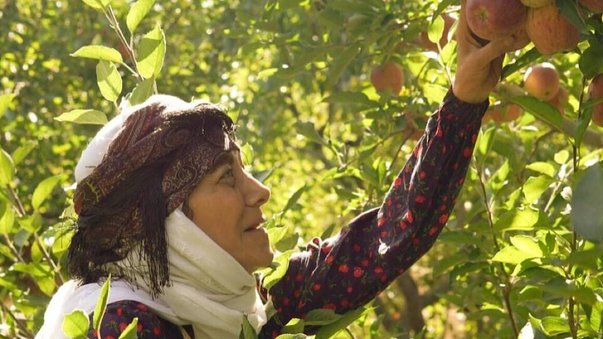 باشگاه خبرنگاران -«مادران»؛ داستانی از عشق و استقامت در اقصی نقاط ایران