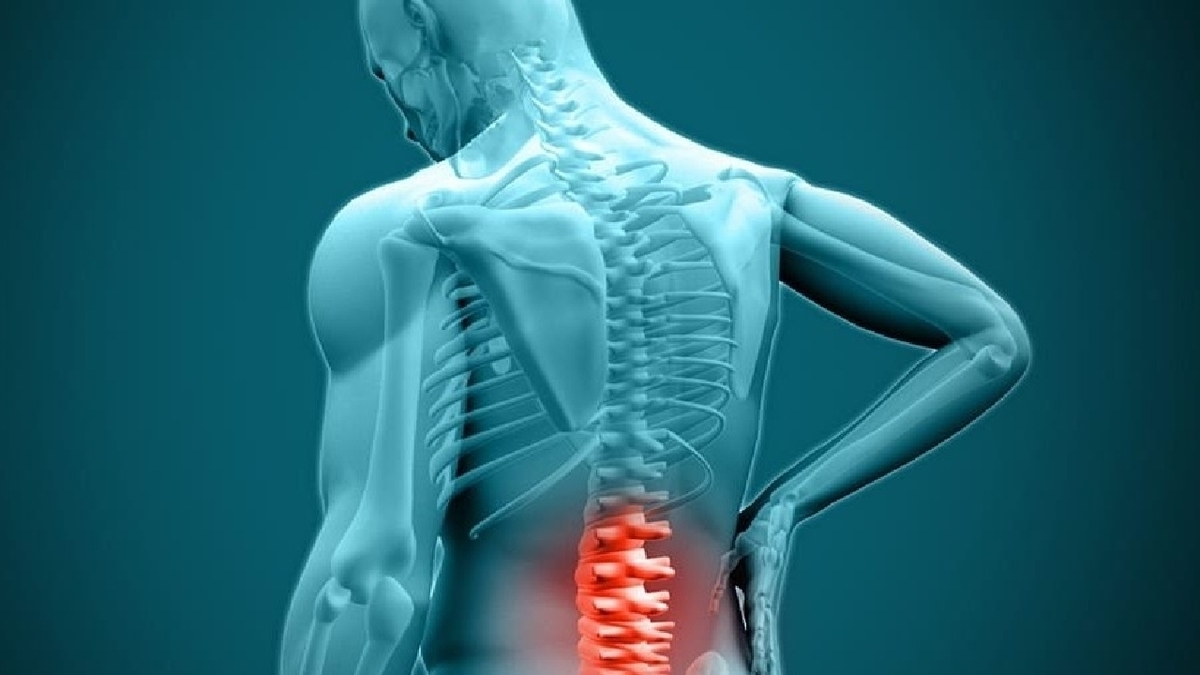 باشگاه خبرنگاران -تاثیر استرس بر تشدید درد‌های اسکلتی و عضلانی + فیلم