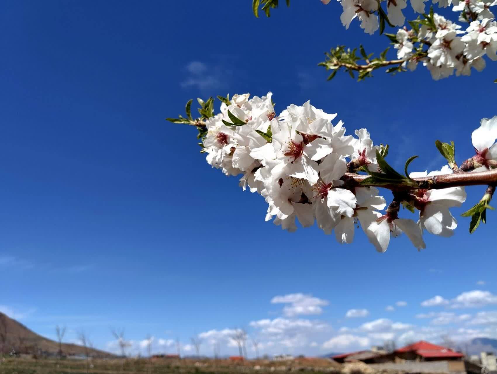 طبیعت افوس