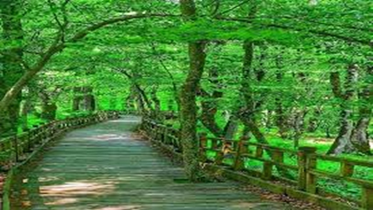 بررسی مناطق طبیعی و دیدنی تهران + فیلم