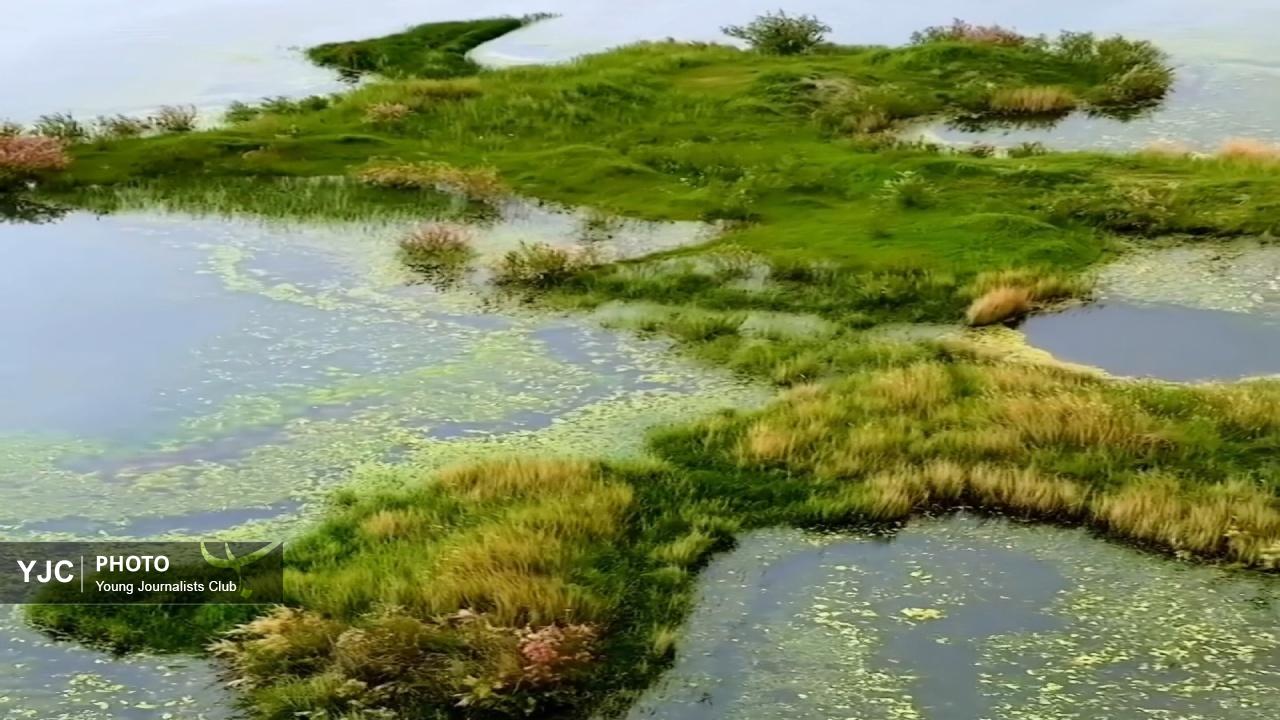 نگینی ناشناخته در لرستان؛ احیای چشم‌اندازهای ناب تالاب تنوردر دورود + فیلم