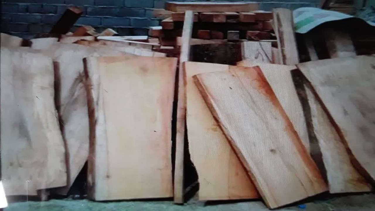 کشف ۱۲۰ میلیاردی محموله چوب قاچاق از مراکز دپوی چوب در نور