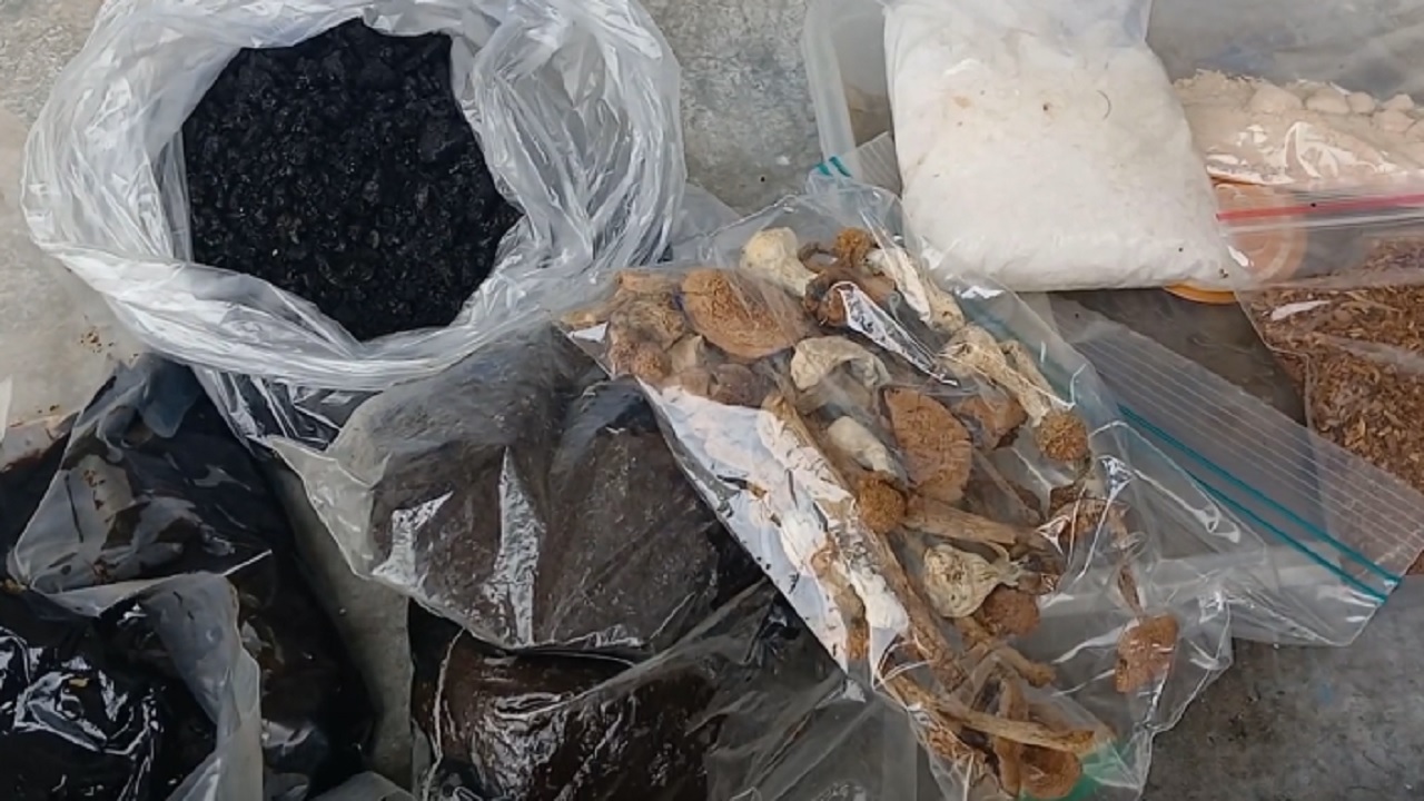 کشف ۲۰ کیلو مواد مخدر در بابل + فیلم