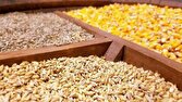 فرصت ذخیره سازی ۱.۵ میلیون تن ذرت و ۱۲۰ میلیون دلار صرفه جویی ارزی